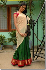 actress-anu-mehta-in-saree